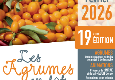 LES AGRUMES EN FÊTE 2026- BASTELICACCIA - Office Intercommunal de tourisme du Celavu-Prunelli