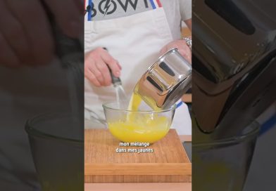 🏝️ L'Île Flottante : Un Voyage Inoubliable