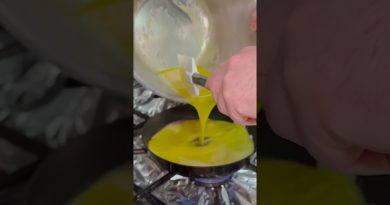 L'OMELETTE EXCEPTIONNELLE DU CHEF