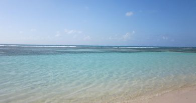 Guadeloupe, Basse-Terre, Pointe-à-Pitre, volcano, beach, palm, waterfall, Creole, island