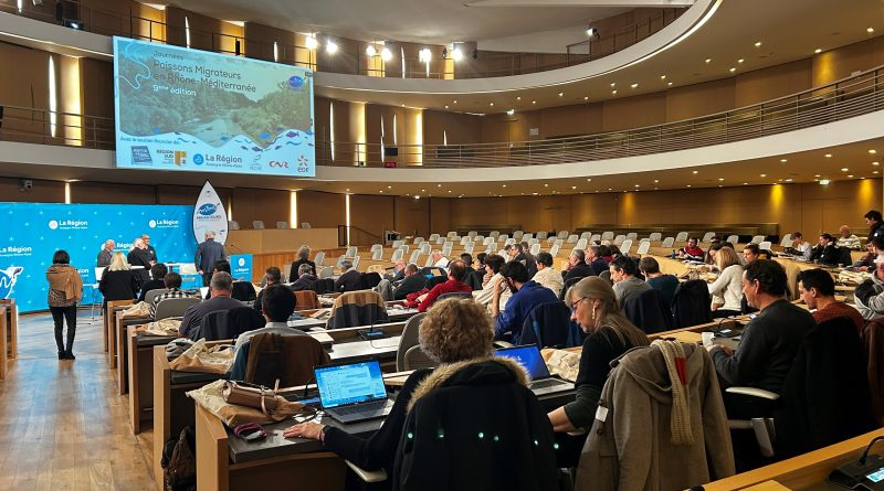 La Corse mise à l’honneur lors de la 9ᵉ édition « Poissons Migrateurs en Rhône-Méditerranée »