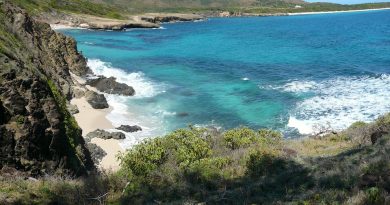 Martinique, Fort-de-France, beach, volcano, palm, rainforest, Creole, boat, island