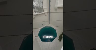 La Piscine la Plus Profonde du Monde : Éblouissante !