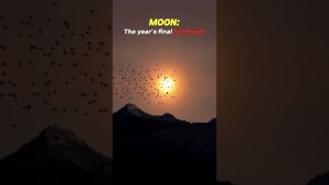 La Super Lune Froide arrive bientôt ! 🌕❄️