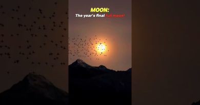 La Super Lune Froide arrive bientôt ! 🌕❄️