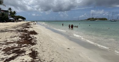 La baignade de nouveau autorisée à la plage de la Datcha