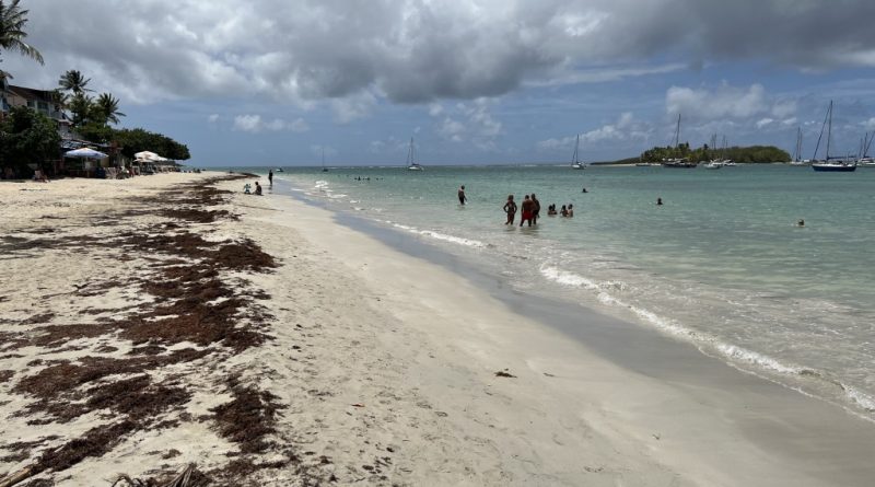 La baignade de nouveau autorisée à la plage de la Datcha