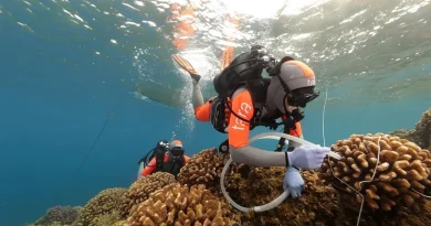 La goélette scientifique Tara retourne dans le Pacifique pour prendre soin du corail