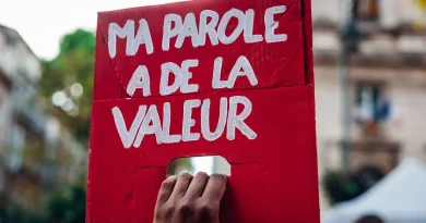 François Bayrou hospitalisé à Pau après une grippe « très sévère »