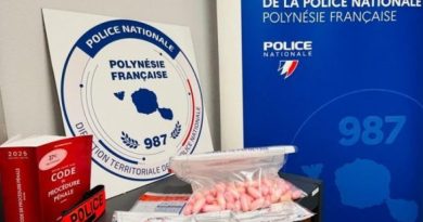 La "mule" interpellée à l'aéroport de Tahiti avait ingéré 77 sachets d'ice