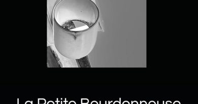 « La petite bourdonneuse : l'envoi d'une mouche dans l'espace par Paul Bacot - CRITICA »