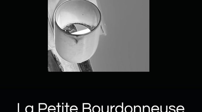 « La petite bourdonneuse : l'envoi d'une mouche dans l'espace par Paul Bacot - CRITICA »