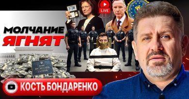 🐑 La puissance de la laine : souffrances et passions