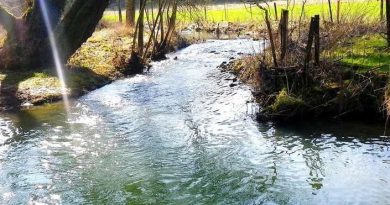 La restauration de la rivière Piennes était indispensable - ICI