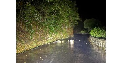 Route de Cilaos, RN5