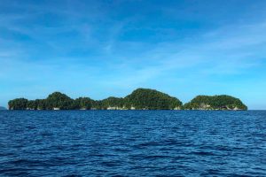 Crédit Mikhail FLORES / AFP