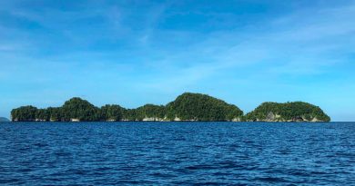 Crédit Mikhail FLORES / AFP