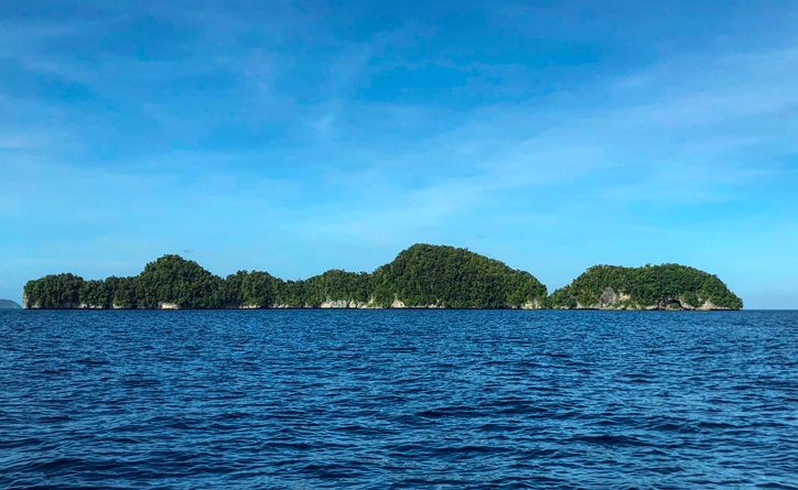 Crédit Mikhail FLORES / AFP