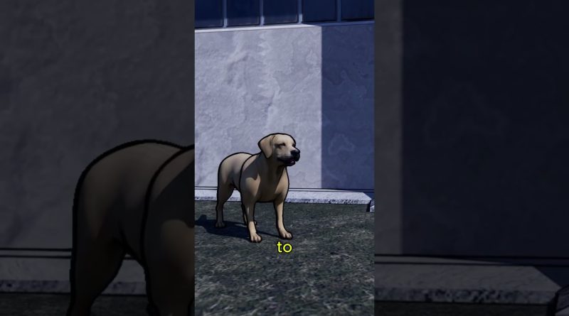 Le Chien Qui Ne Manquait Jamais au Travail