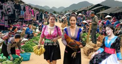Le Marché Rustique et Authentique des H'mong au Vietnam