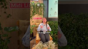 Le Monde Nouveau : Direction Artistique par Thalia et Brassart