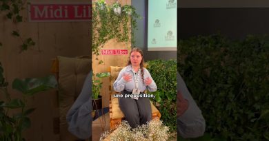 Le Monde Nouveau : Direction Artistique par Thalia et Brassart