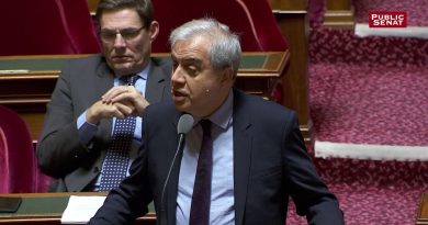 Le Sénat impose une taxe aux géants du numérique en France