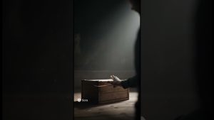 Le chat de Schrödinger : une énigme quantique fascinante