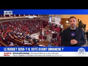 Le gouvernement contourne le parlement pour adopter son budget.
