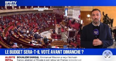 Le gouvernement contourne le parlement pour adopter son budget.