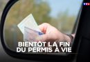 Le permis à vie bientôt supprimé : les détails sur TF1 INFO