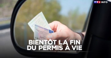 Le permis à vie bientôt supprimé : les détails sur TF1 INFO