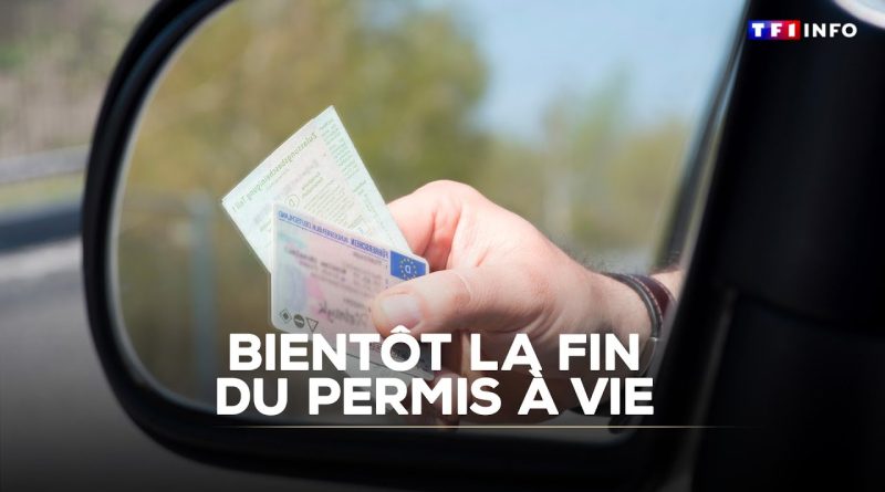 Le permis à vie bientôt supprimé : les détails sur TF1 INFO