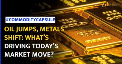 Le pétrole grimpe après des frappes en Ukraine, les métaux baissent