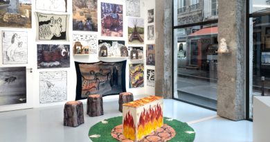 Le sens (?) de la visite : le mythe des origines à décrypter à Lyon