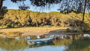 Le sentier du Ponant avec Wassila Djellouli de"Montpellier sans voiture" - ICI