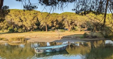 Le sentier du Ponant avec Wassila Djellouli de"Montpellier sans voiture" - ICI