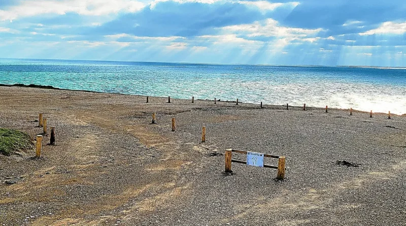Le stationnement interdit à la Pointe du Skeul à Locmaria, à Belle-Île-en-Mer