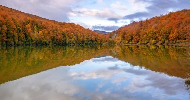 Centre-Val de Loire, Orléans, Tours, Loire river, castle, vineyard, forest, landscape