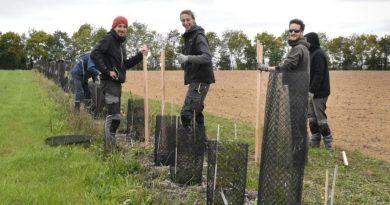 L'écologie au service de l'agriculture : 3 projets en cours à la ferme de Belêtre