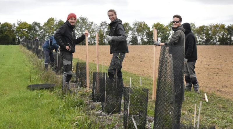 L'écologie au service de l'agriculture : 3 projets en cours à la ferme de Belêtre