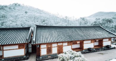 China,Beijing,Great Wall,Shanghai,Panda,Architecture,Asian culture,Landscape