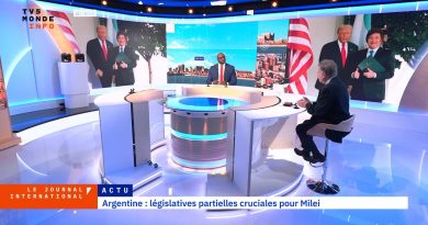 Législatives en Argentine : enjeux et résultats pour Milei