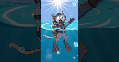 Les 5 Créatures Marines les Plus Étonnantes !