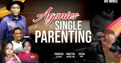 Les Défis du Parenting Solo