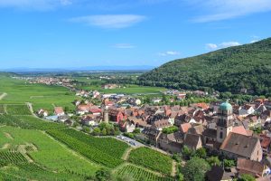 Grand Est, Strasbourg, Reims, vineyard, Alsace, Vosges, forest, cathedral, village