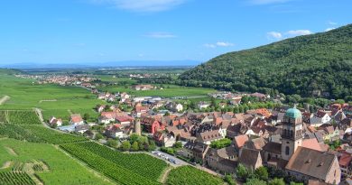 Grand Est, Strasbourg, Reims, vineyard, Alsace, Vosges, forest, cathedral, village