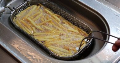 Les Secrets de la Frite Idéale