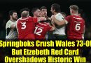 Les Springboks écrasent le pays de Galles 73-0, Etzebeth expulsé !