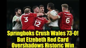 Les Springboks écrasent le pays de Galles 73-0, Etzebeth expulsé !